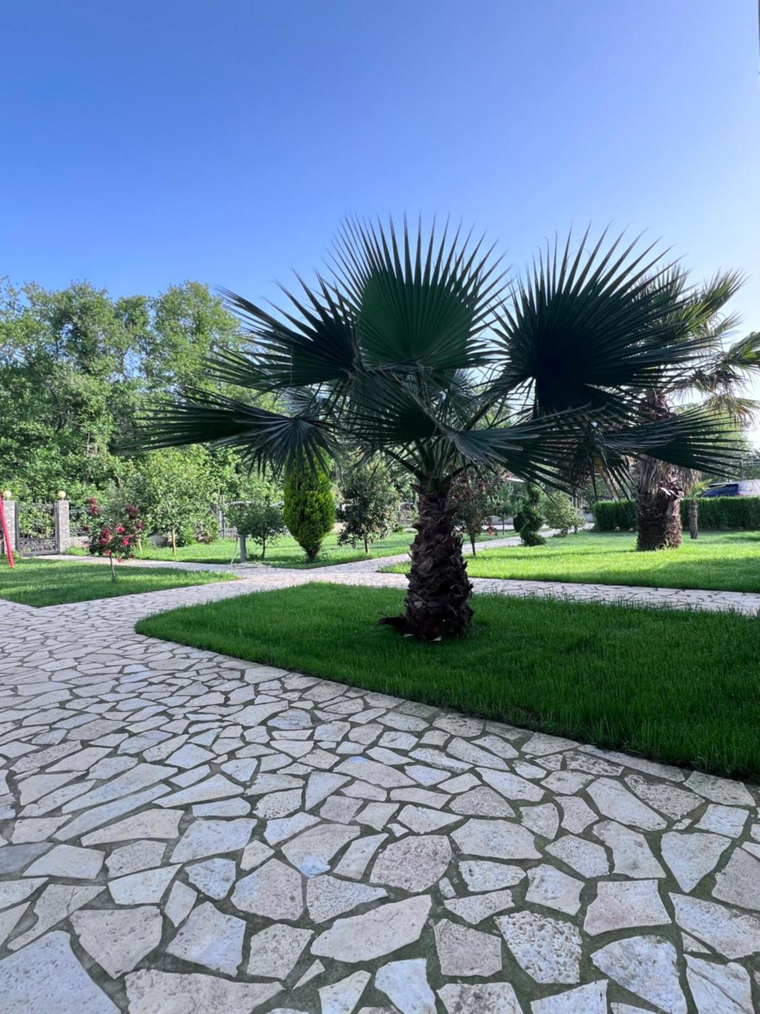 Residence Leora Ulcinj Kültér fotó